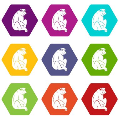 Renk altı yüzlü orangutan Icon set