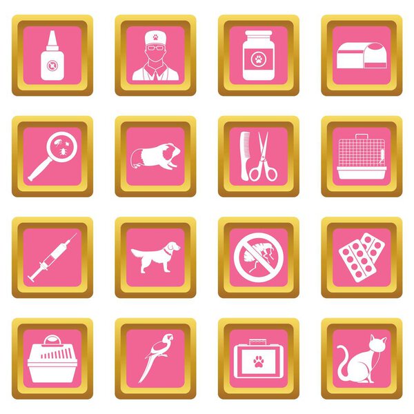 Ветеринарные иконы розовый
