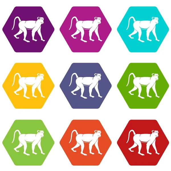 Monkey icon set color hexahedron — Stock Vector