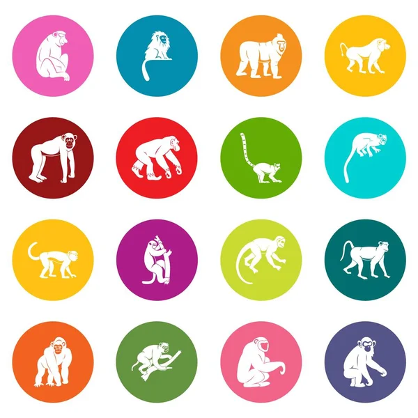 Monkey types icons many colors set — Stock Vector