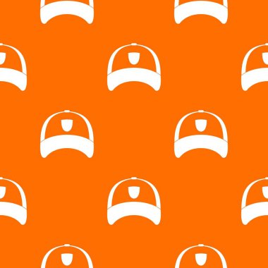 Kış şapka model sorunsuz