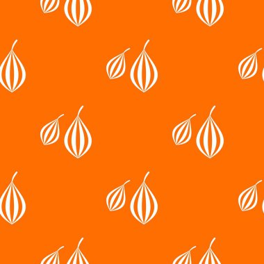 Trachyspermum annem desen sorunsuz