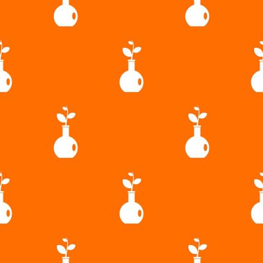 Vazo desen sorunsuz bitki