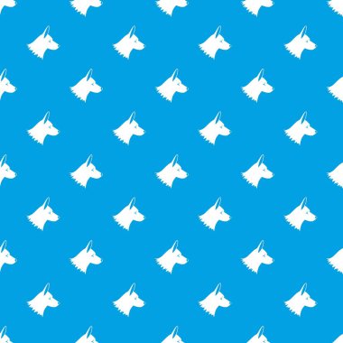 Collie köpek desen kesintisiz mavi