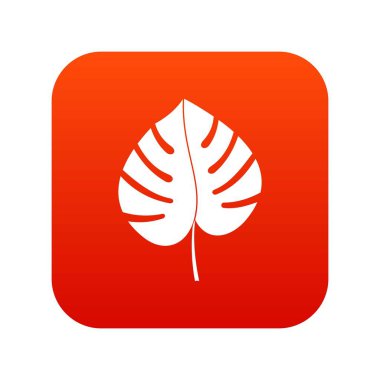 Monstera simgesi dijital kırmızı yaprak