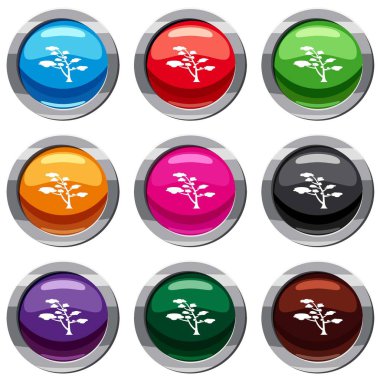 Sedir 9 koleksiyonu ayarla