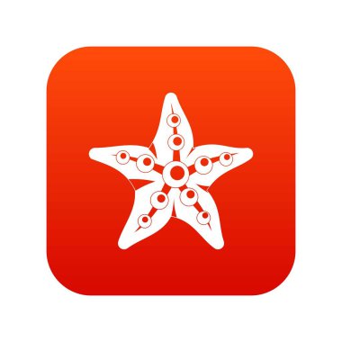 Deniz yıldızı simge dijital kırmızı
