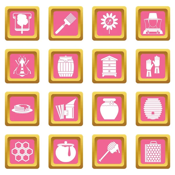Apiary herramientas iconos rosa — Vector de stock