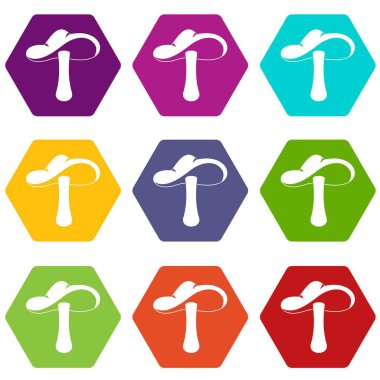 Renk altı yüzlü sonbahar mantar Icon set