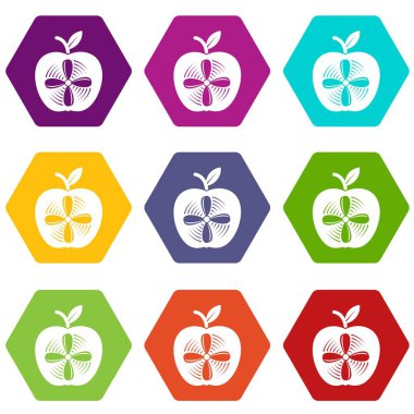 9 vektör Apple Icons set
