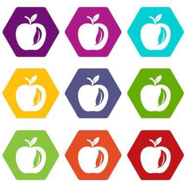 9 vektör yaprak elma Icons set