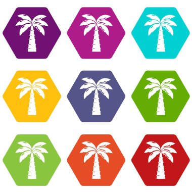 9 vektör Palm Icons set
