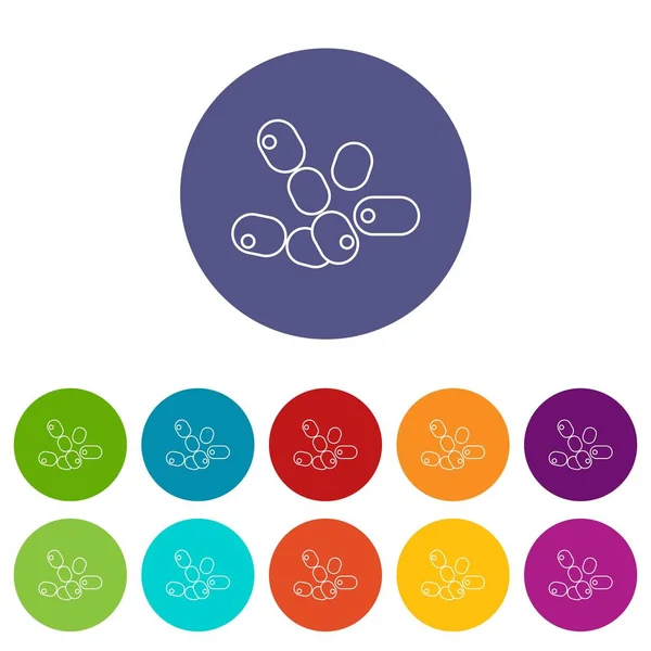 Coccus bacilos iconos conjunto vector de color — Vector de stock