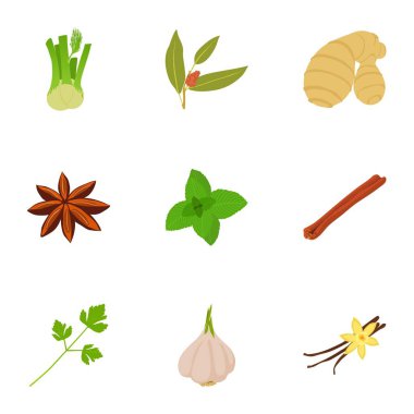 Icons set baharat, karikatür tarzı