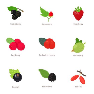 Berry türü Icons set, izometrik stili