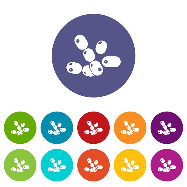 Coccus bacilli icons set vector color