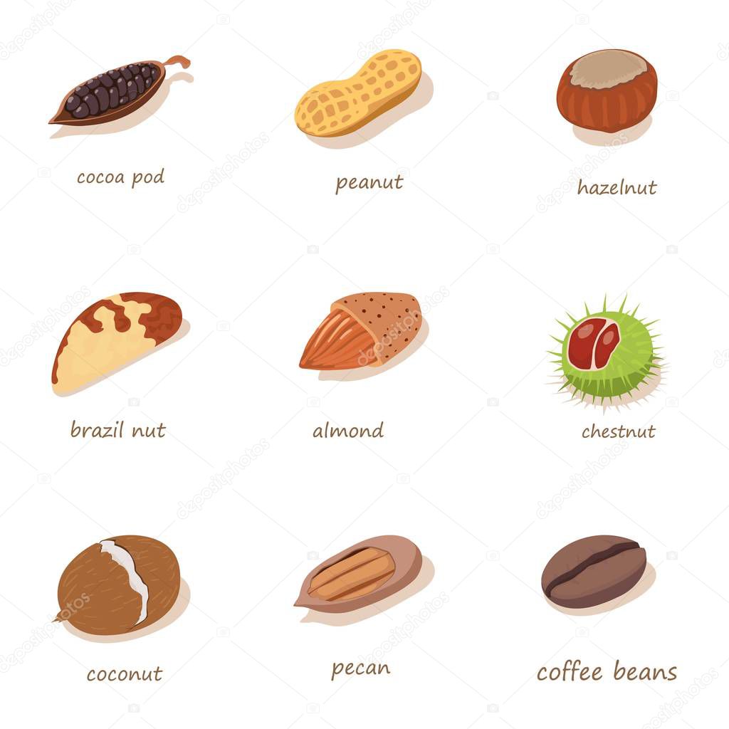 Nut filling icons set, isometric style