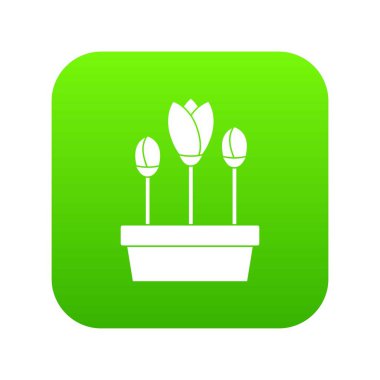 Lale kutusu simgesini dijital yeşil