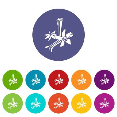 Baharat simgeler kümesi vektör renk