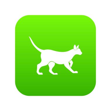 Kedi simgesi dijital yeşil