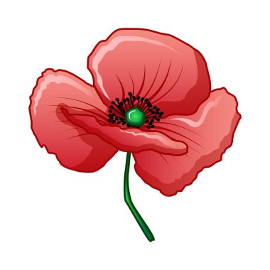 Bud haşhaş simgesinin, karikatür tarzı