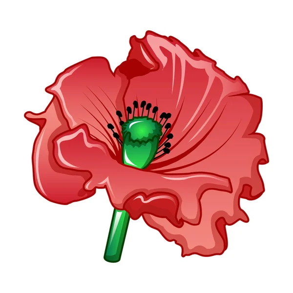 Tuin poppy pictogram, cartoon stijl — Stockvector