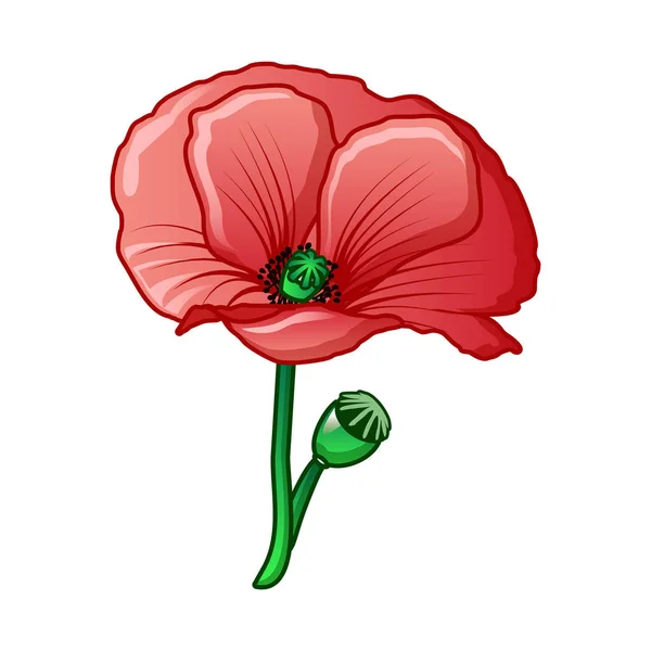 Icône fleur de pavot, style dessin animé — Image vectorielle