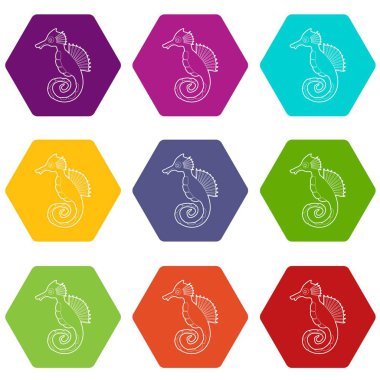 9 vektör denizatı Icons set