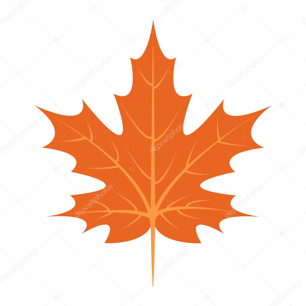 Maple leaf icon, flat style
