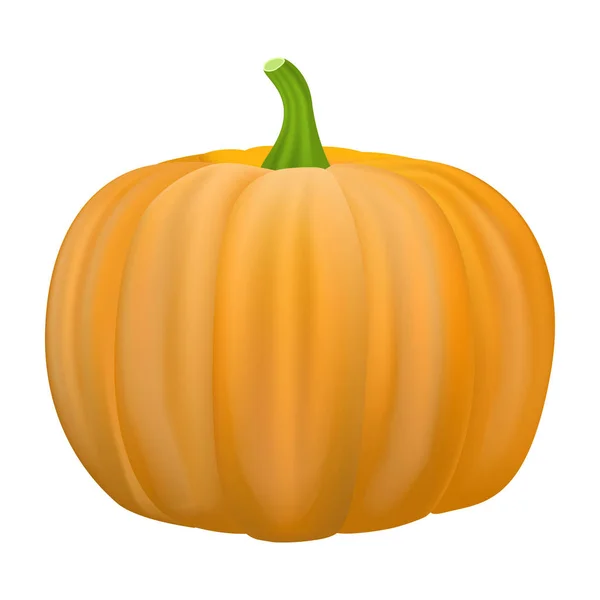 Pumpkin icon, realistic style — Stock Vector