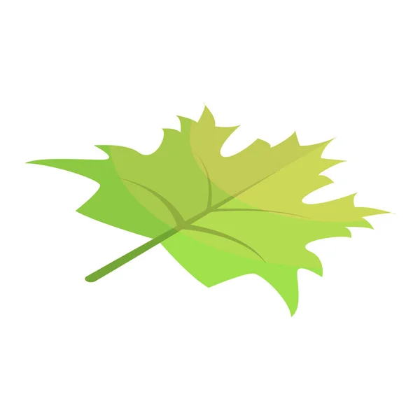 녹색 단풍나무 잎 아이콘, 아이소메트릭 스타일 — 스톡 벡터