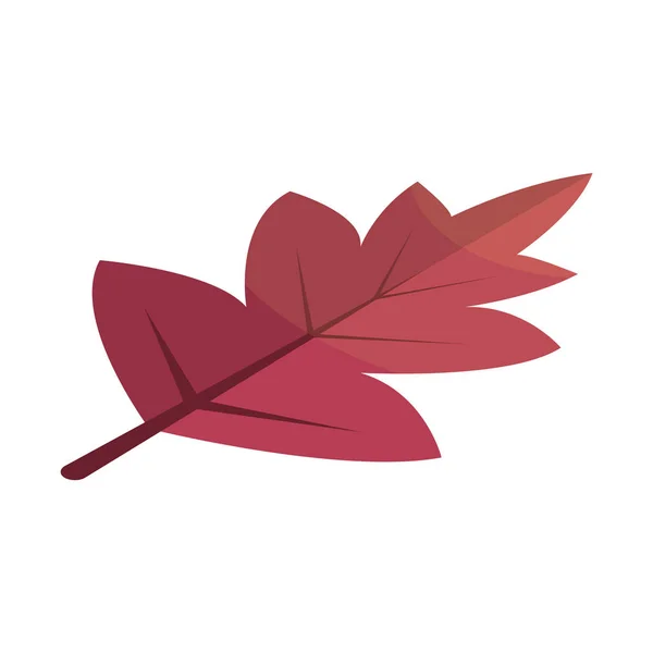 Viburnum icono de hoja de árbol rojo, estilo isométrico — Vector de stock