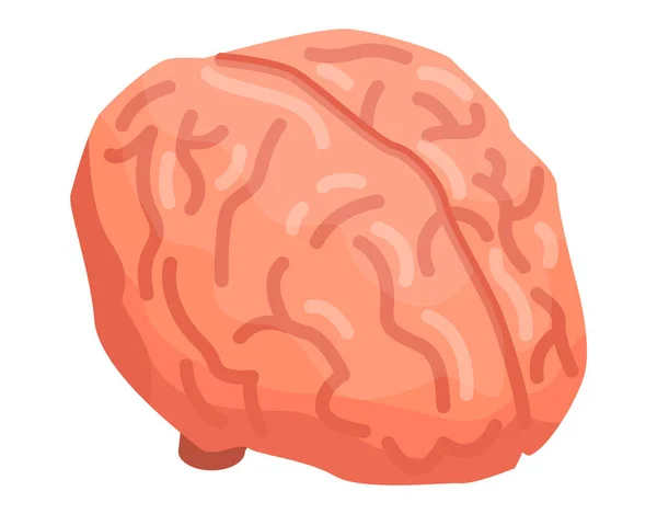 Icono del cerebro humano, estilo isométrico — Vector de stock