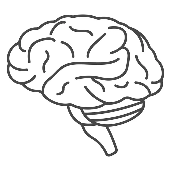 Icône du cerveau humain, style contour — Image vectorielle