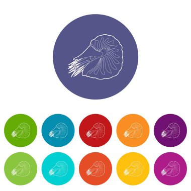 Deniz tarağı simgesi anahat