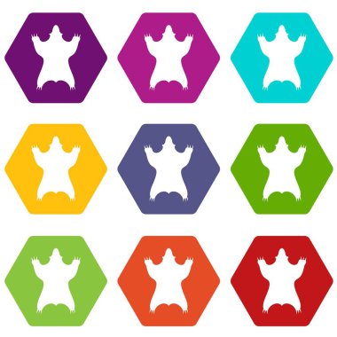 Cilt simgeler kümesi 9 vektör ayı