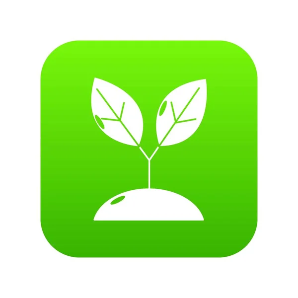 Plant sprout pictogram groen vector — Stockvector