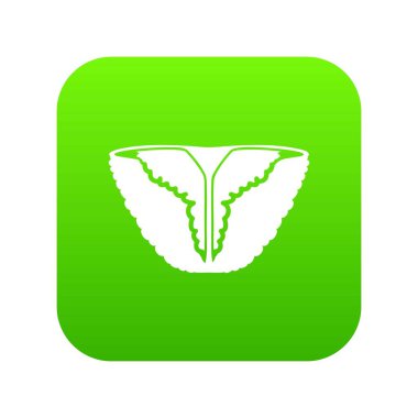 Vintage bikini yeşil simge vektör