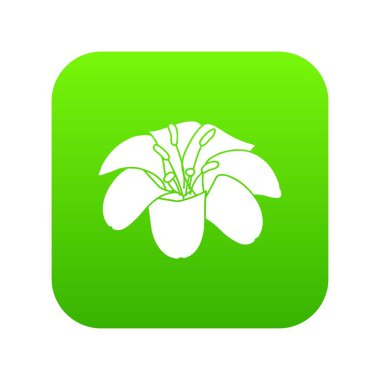 Lily çiçek yeşil simge vektör