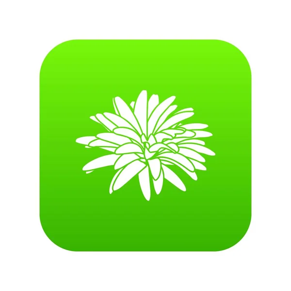 Icône fleur d'aster vecteur vert — Image vectorielle