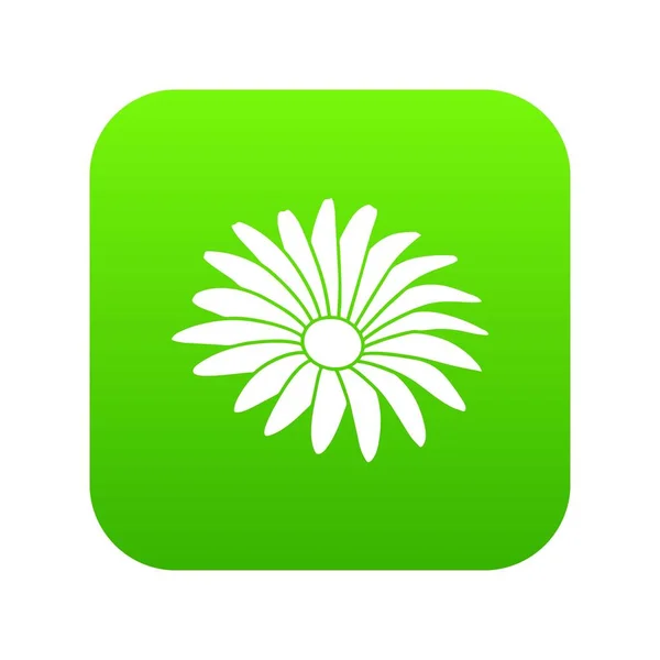 Gerber icône de fleur vecteur vert — Image vectorielle