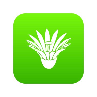 Bahçe çiçek yeşil simge vektör