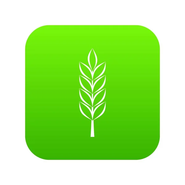 Wheat spike icon digital green — Stock Vector