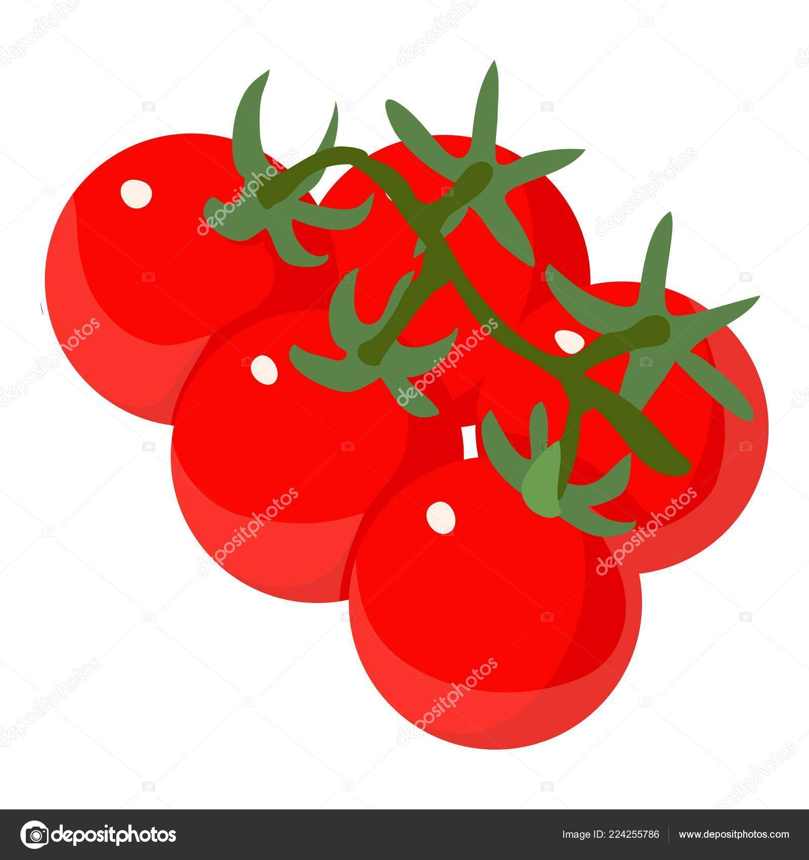 Tomato Icon Isometric 3d Style Vector Image By C Ylivdesign Vector Stock