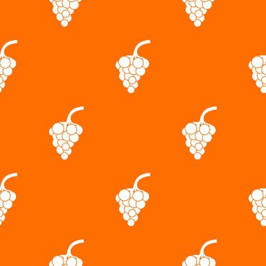 Üzüm şube model sorunsuz