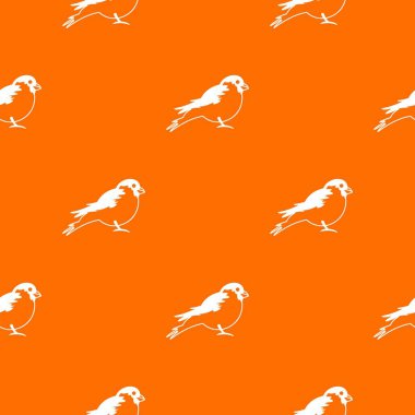 Şakrak kuşu desen sorunsuz