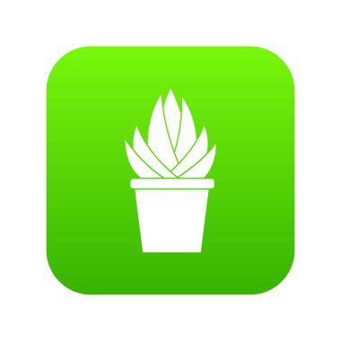 Aloe vera bitki simgesi dijital yeşil