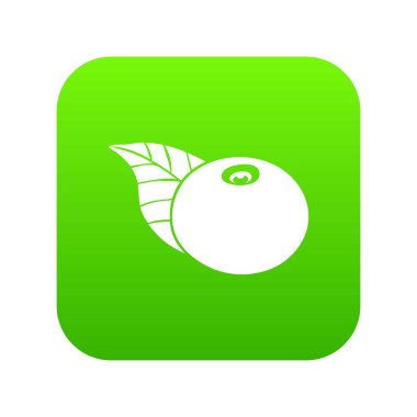 Ayıüzümleri yeşil simge vektör