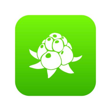 Ahududu simge yeşil vahşi vektör