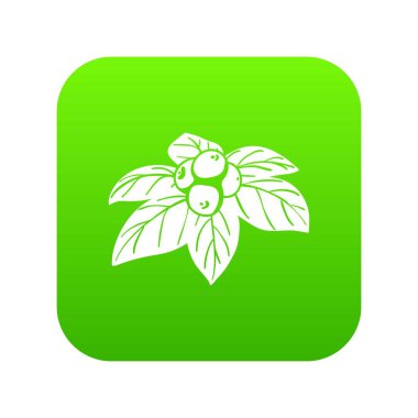 Whortleberries yeşil simge vektör